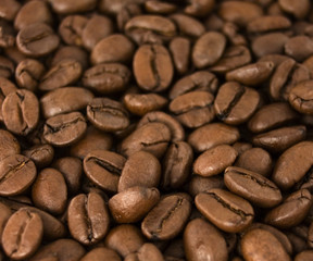 coffee beans