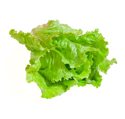 salad isolated on white