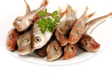 pescado