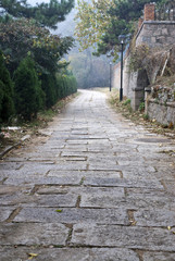 stone path outdoor