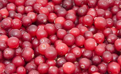 Red cranberries