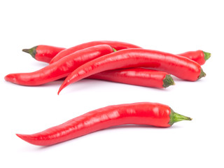 Chili pepper