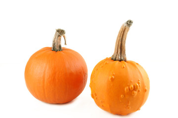 Pumpkins