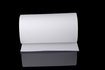 Paper towel roll on black