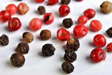black and red pepper on a white background