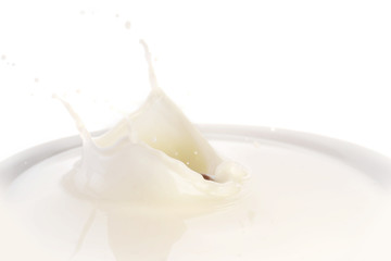 plate with milk