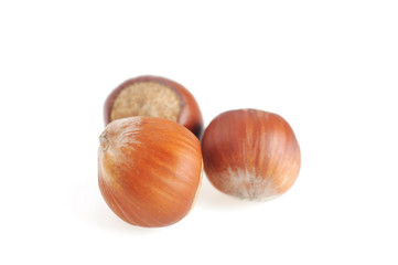 Hazelnut  isolated