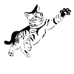 Vector illustration of domestic cat