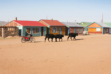 Traditional mongolian village