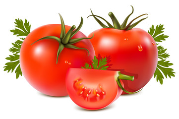 Photorealistic vector illustration. Tomatoes.