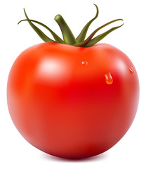 Photorealistic vector illustration. Tomato with water drops.