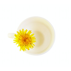 Flower and cup