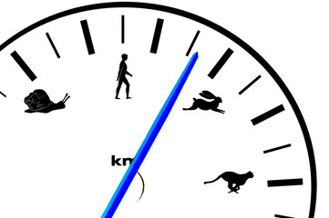 Car speedometer  with animal and human icons © Denis Tabler