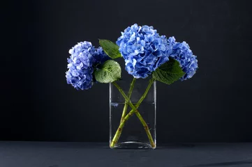 Crédence de cuisine en verre imprimé Hortensia Bol d& 39 hortensia bleu sur fond noir