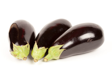 Fresh bio eggplants isolated