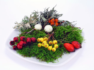 Wild wood berries and moss