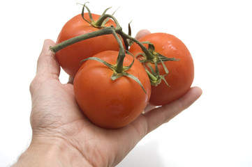 mano sujetando racimo de tomates frescos