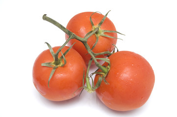 racimo con 3 tomates sobre fondo blanco