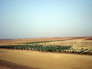 Siria