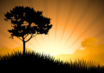 Amazing natural sunset landscape with tree silhouette
