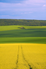 Fototapeta premium Panoramic view of rapeseed field and green meadows