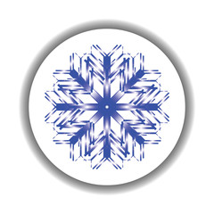 snow flake medallion