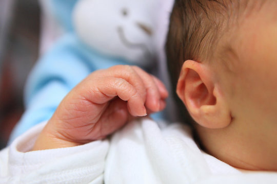 b&eacute;b&eacute;