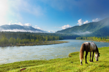 Mountain landscape