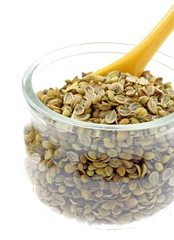 graines cotomilli coriandre indien fond blanc