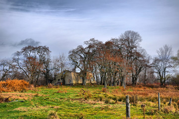 A dilapidated farm house in a field