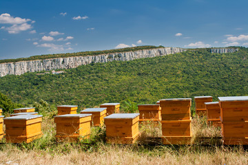 Beehives