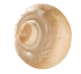 Champignon