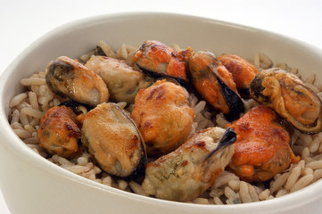 a rice bowl with some organic mussel