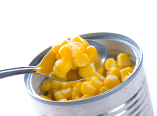 corn vegetable seed in spoon