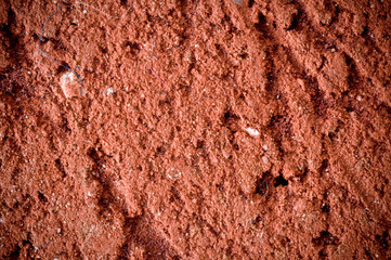 Cement wall