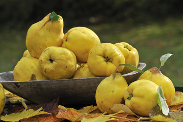 Obst