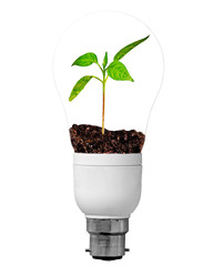 Eco friendly bulb