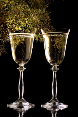 Wine for a celebration