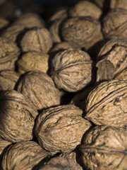 Walnüsse