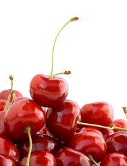 cherry