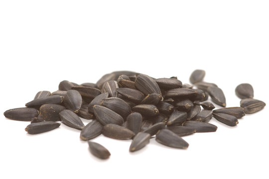 Sunflower seed  on a white isolated background