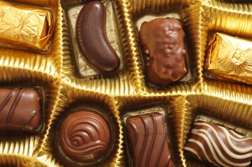 chocolate truffles in a box