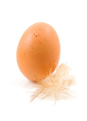 One chicken egg with feather over white background