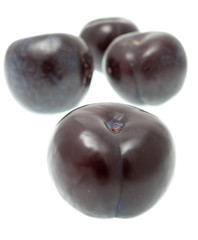 Four violet plums isolated on whiteplum.