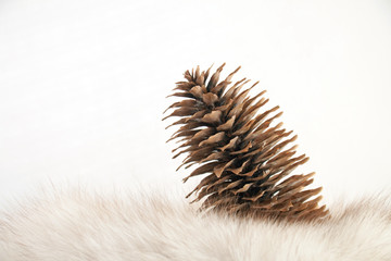 pine cone resting on white fur