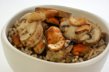 rice bowl with mussel and organic mushroom