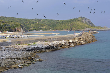 Observation platform, Camerota harbour, Italy