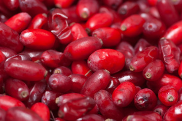 barberries background
