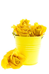 dry yellow roses in a bucket