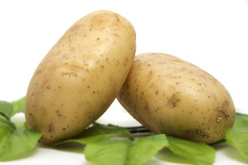 a brown potatoes on a white background